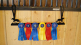Showoff Ribbon Rack - Haflinger - Stall Rack