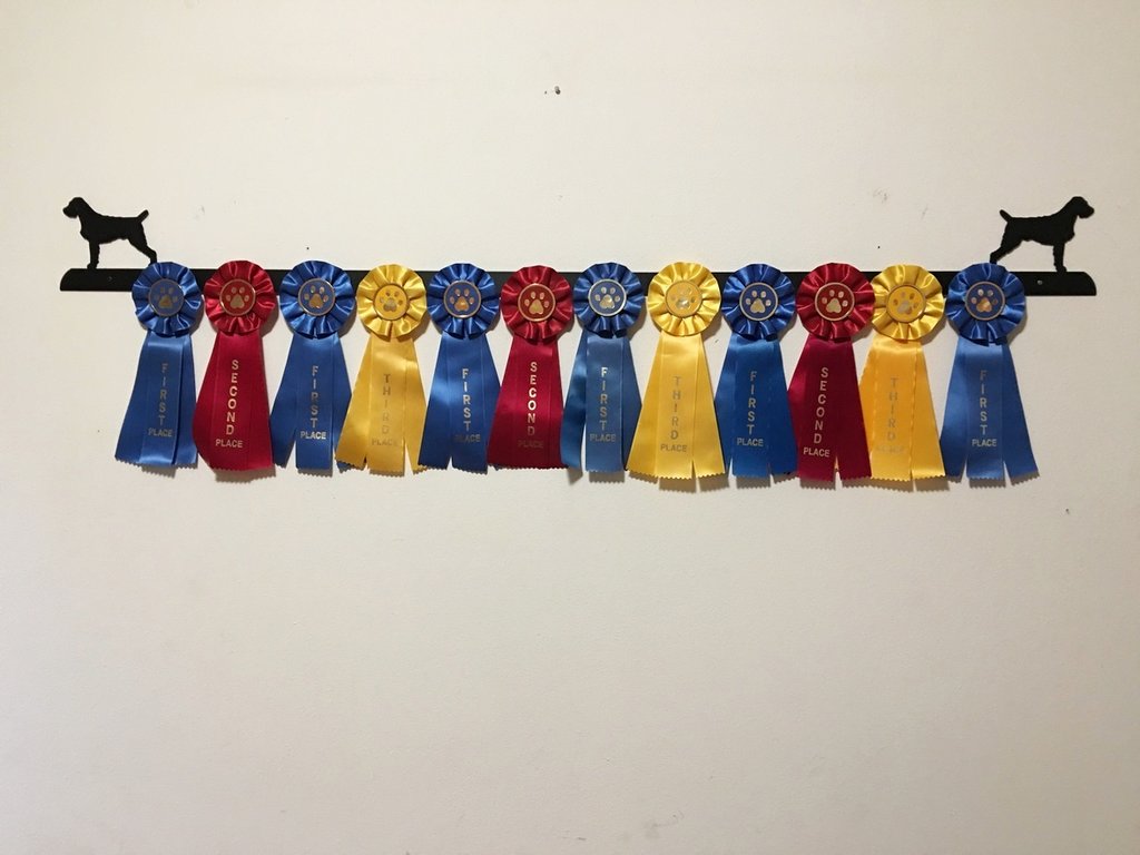 Dog Ribbon Frame Canine Ribbon Racks – Showoff Ribbon Racks