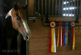 Showoff Ribbon Rack - Reining Horse - Stall Rack