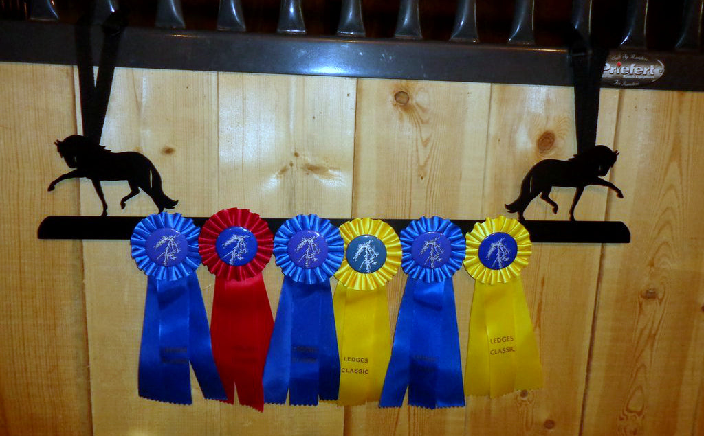 Showoff Ribbon Rack - Andalusian - Stall Rack – Showoff Ribbon Racks