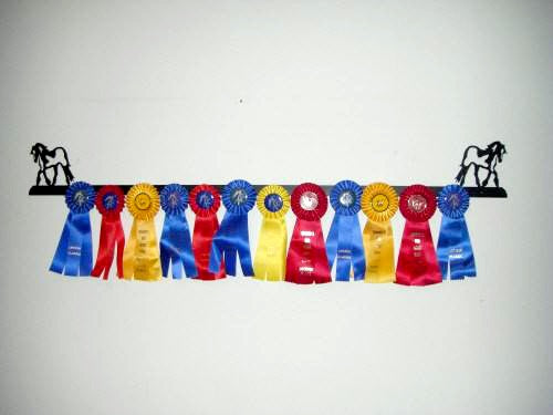 Showoff Ribbon Rack - Gypsy Vanner - Wall Rack